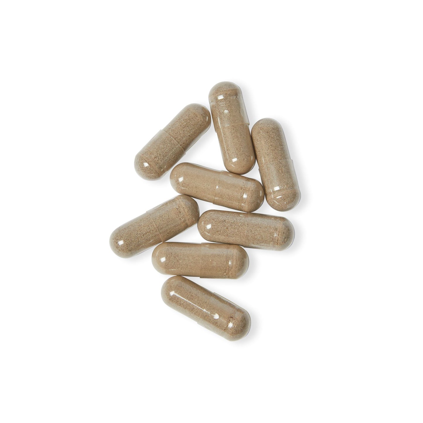 recovery room supply Wildcrafted Irish Energy, Immunity & Gut Sea Moss  (60 Capsules)